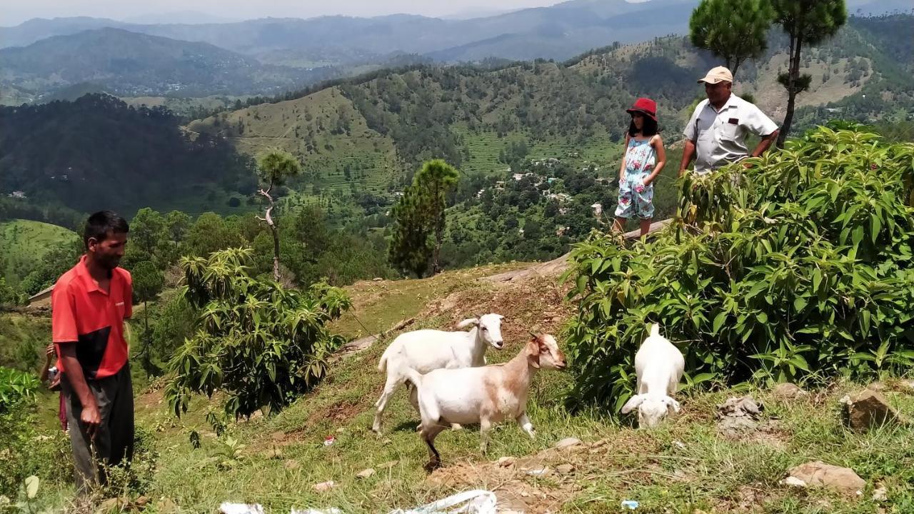 Dwarahat Village Farmstay- Babaji'S Cave Dış mekan fotoğraf