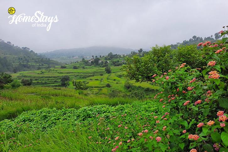 Dwarahat Village Farmstay- Babaji'S Cave Dış mekan fotoğraf