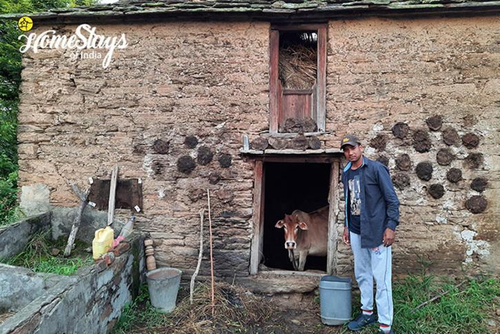 Dwarahat Village Farmstay- Babaji'S Cave Dış mekan fotoğraf