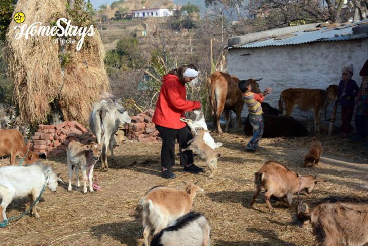 Dwarahat Village Farmstay- Babaji'S Cave Dış mekan fotoğraf