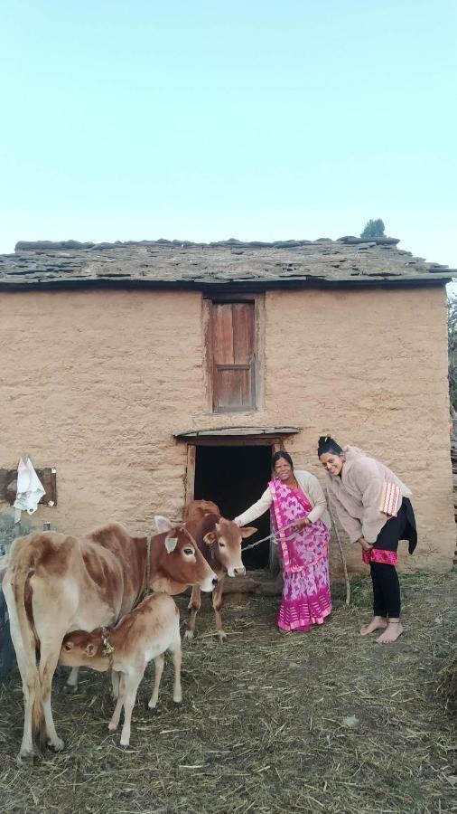 Dwarahat Village Farmstay- Babaji'S Cave Dış mekan fotoğraf