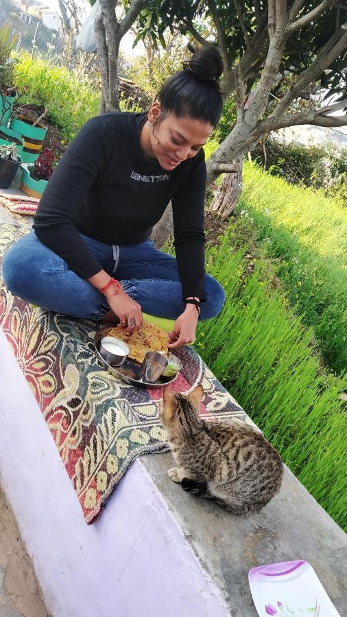 Dwarahat Village Farmstay- Babaji'S Cave Dış mekan fotoğraf